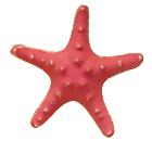 étoile de mère illustration